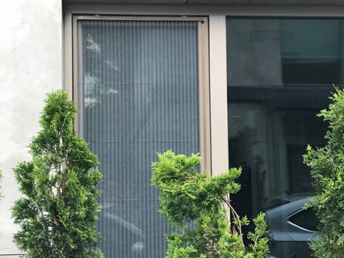 Sakarya'da Sineklik Nereden Alınır