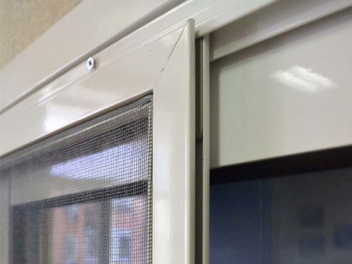 Sakarya Magnet Sineklik
